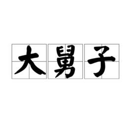 大舅子 大舅子