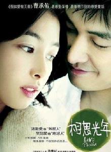 相思光年 相思光年