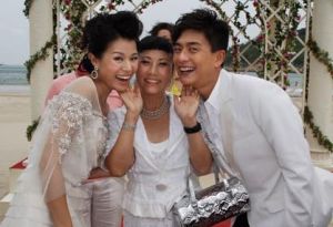 我的野蠻婆婆Ⅱ