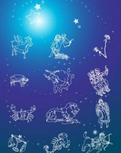 12星座 12星座