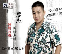 唐傑[中國內地歌手]