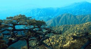 南豐軍峰山 南豐軍峰山