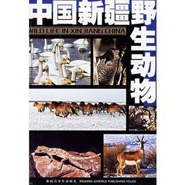 中國新疆野生動物 中國新疆野生動物