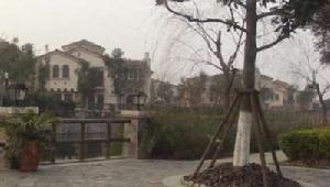 方舟園二村 方舟園二村