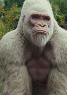 狂暴[巨石強森主演電影]