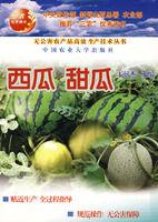 西瓜甜瓜 西瓜甜瓜