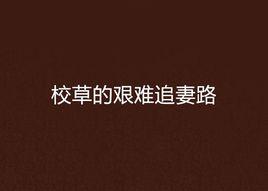 校草的艱難追妻路 校草的艱難追妻路