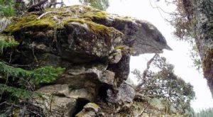 大樹子溝 大樹子溝