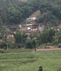 上輕木林自然村