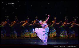 95舞蹈俱樂部 95舞蹈俱樂部