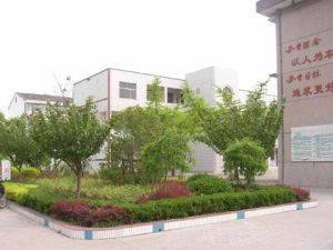 富東鎮中學 富東鎮中學