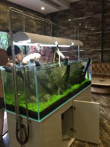 迪茨[浙江台州家居品牌]