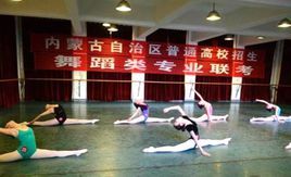 藝術聯考 藝術聯考