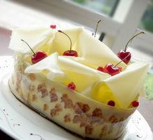 各式各樣的提拉米蘇蛋糕