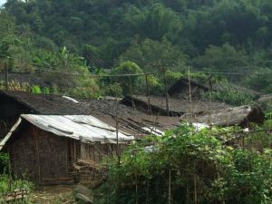 小崩董自然村 小崩董自然村