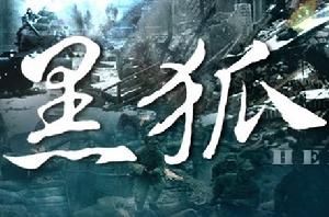 黑狐[張健 / 杜玉明導演的電視劇]