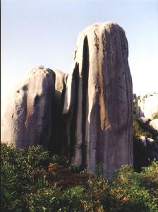 仙人鋸板 仙人鋸板