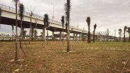 韓江金山大橋濕地公園 韓江金山大橋濕地公園