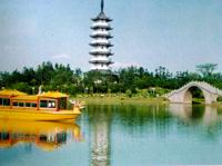 中國茶花文化園