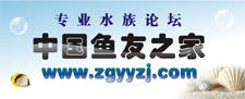 中國魚友之家 中國魚友之家