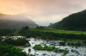 靈芝湖森林公園 靈芝湖森林公園