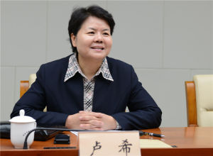 盧希[最高檢整合組建的新反貪污賄賂總局局長]