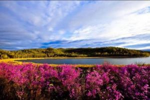 達爾濱湖 達爾濱湖