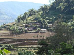篾笆山自然村 篾笆山自然村