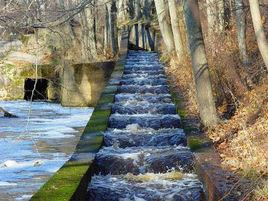 過魚設施 過魚設施