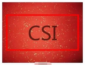 CSI[犯罪現場調查]