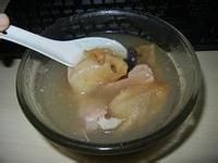 海參豬肉湯 海參豬肉湯