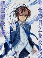 神奇寶貝之龍炎傳說 神奇寶貝之龍炎傳說