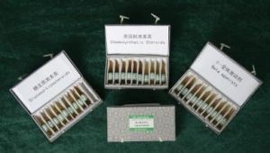 孕酮標準校準品 孕酮標準校準品