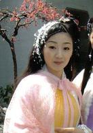 秦淮悲歌[2004年伊能靜主演電視劇]