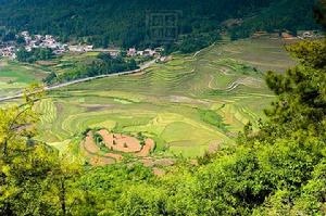 草原鄉[貴州省黔南布依族苗族自治州龍里縣草原鄉]