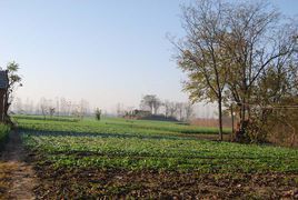 崗上遺址 崗上遺址