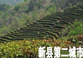 新縣第二城市 新縣第二城市