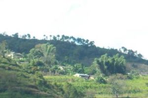 永福自然村 永福自然村