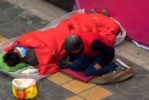 磕頭行騙族 磕頭行騙族