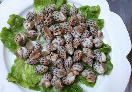 生燙花螺 生燙花螺