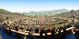 雷山苗年 雷山苗年