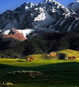 天山山脈 天山山脈