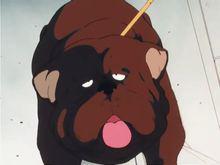 touch[安達充創作漫畫《棒球英豪》]