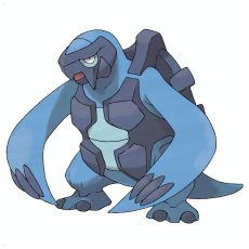 肋骨海龜 肋骨海龜