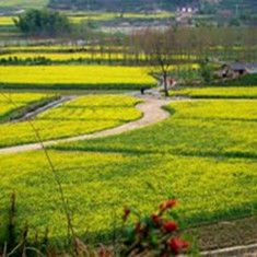 沃野[漢語詞語]