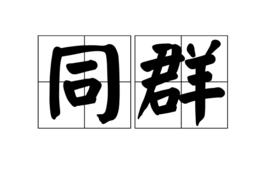 同群 同群