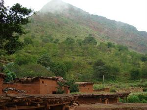 白果上村 白果上村