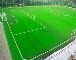 人造草場 人造草場