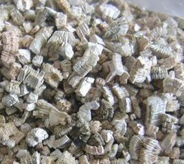 銀白蛭石 銀白蛭石