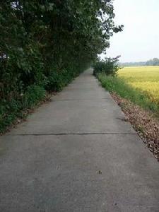 紅旗村[湖北省監利縣紅城鄉紅旗村]